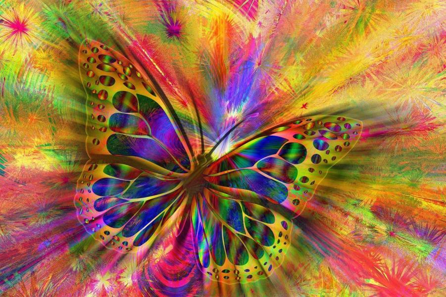L'image de ce beau papillon coloré, nous invite à découvrir les bienfaits des couleurs. Calculons notre couleur du jour pour être en forme