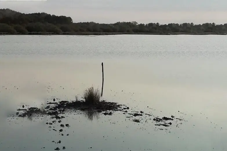 Une journée sans soleil au bord d'un lac, interview par France Bleu de Martine ROUX, sur la luminothérapie